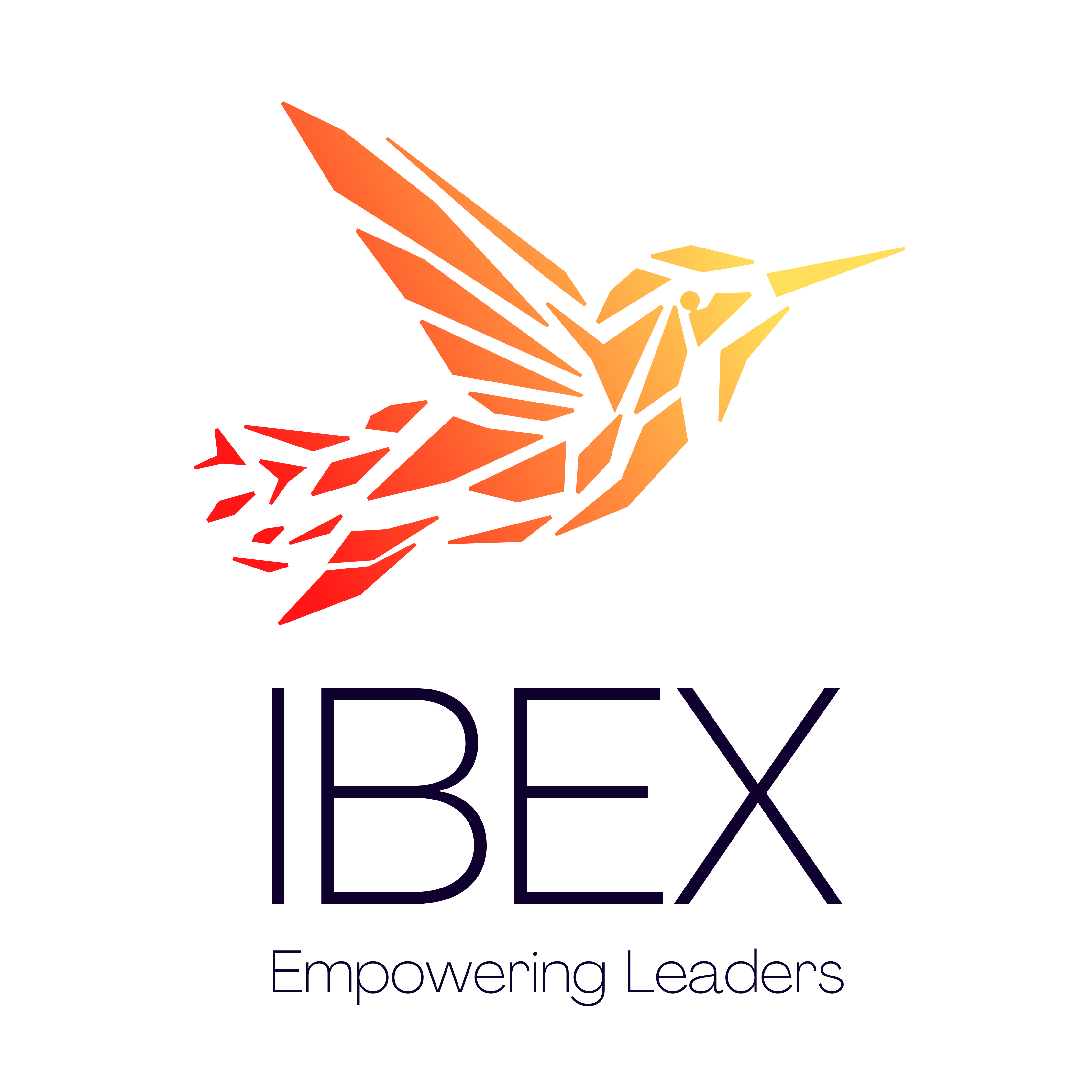 IBEX | One Of The Top B Schools In India